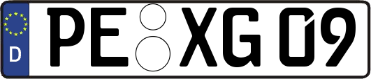 PE-XG09