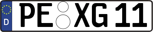 PE-XG11