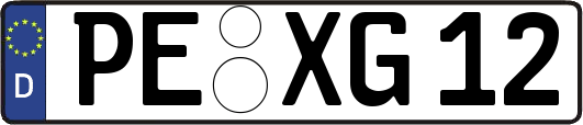 PE-XG12