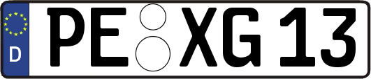 PE-XG13