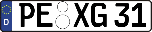 PE-XG31