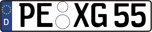 PE-XG55