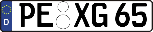 PE-XG65
