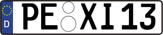 PE-XI13