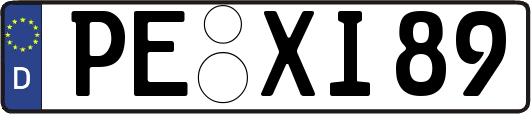 PE-XI89