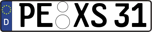 PE-XS31