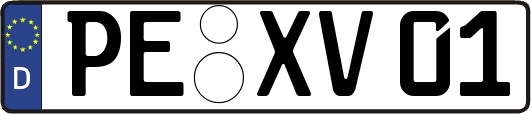 PE-XV01