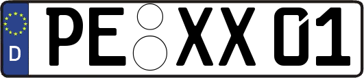 PE-XX01