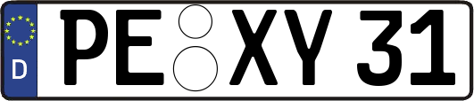 PE-XY31