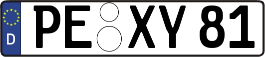PE-XY81