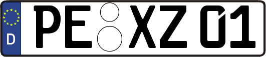 PE-XZ01