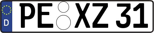 PE-XZ31