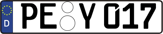 PE-Y017