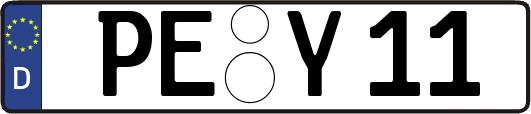 PE-Y11