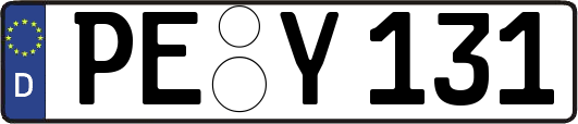 PE-Y131