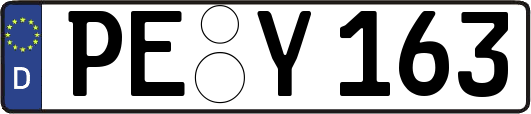 PE-Y163