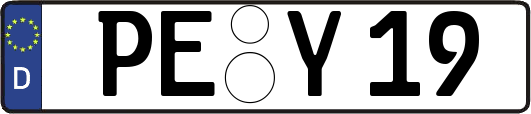 PE-Y19