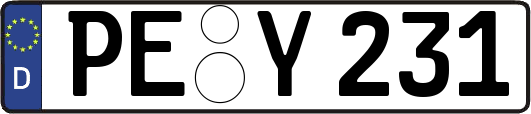 PE-Y231