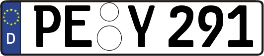 PE-Y291