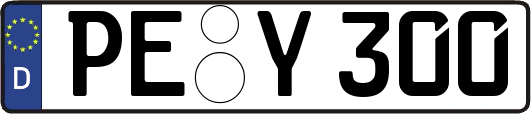 PE-Y300