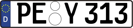 PE-Y313
