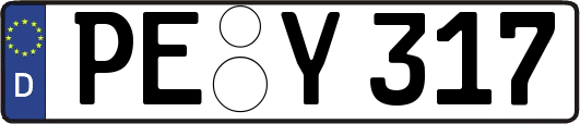 PE-Y317
