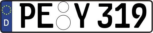 PE-Y319