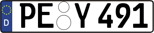 PE-Y491