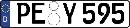 PE-Y595