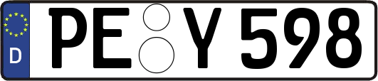 PE-Y598