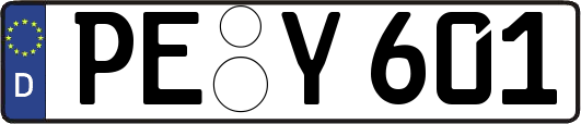 PE-Y601