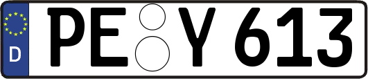 PE-Y613