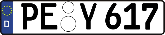 PE-Y617