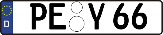 PE-Y66