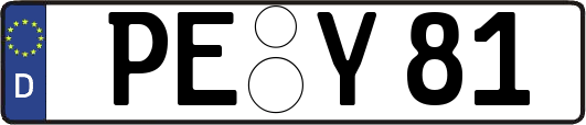 PE-Y81