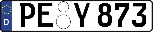 PE-Y873