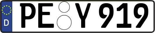 PE-Y919