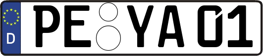 PE-YA01
