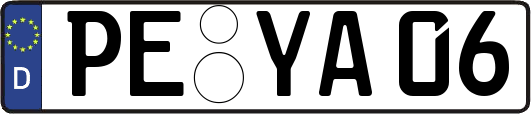 PE-YA06