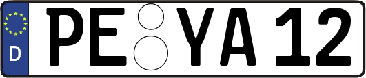 PE-YA12