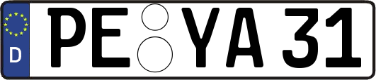 PE-YA31
