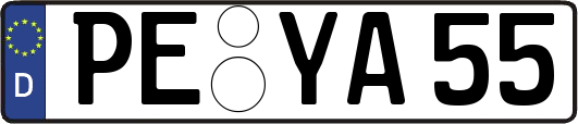 PE-YA55