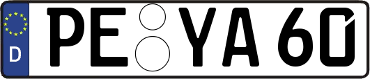 PE-YA60