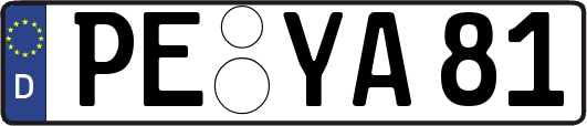 PE-YA81