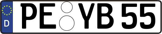 PE-YB55