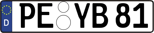 PE-YB81