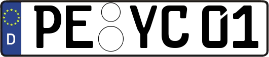 PE-YC01