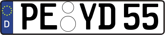 PE-YD55