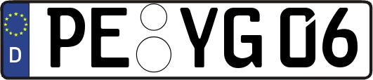 PE-YG06