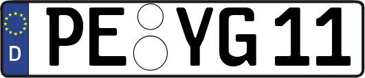 PE-YG11